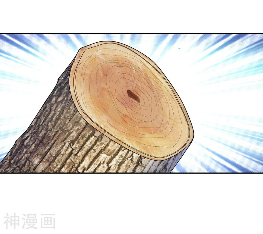 神藏韩漫全集-第47话 赌树1无删减无遮挡章节图片 
